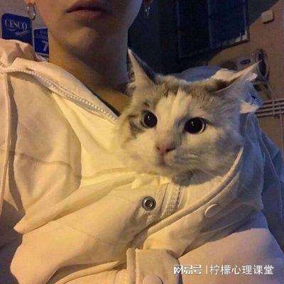 英雄联盟手游港澳台服下载