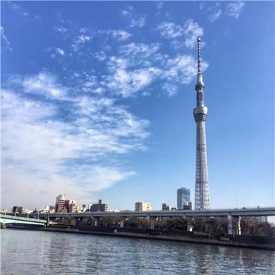 战鹰雄风bt版下载