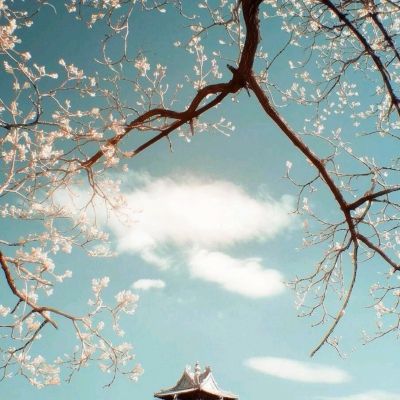 少年远歌行官方版下载